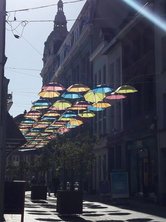 Lille Centre Ville, Beaux Arts Et Grand Palais, Bienvenue Chez Nestyou Lille Luaran gambar