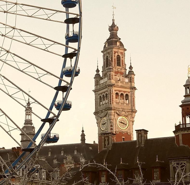 Lille Centre Ville, Beaux Arts Et Grand Palais, Bienvenue Chez Nestyou Lille Luaran gambar